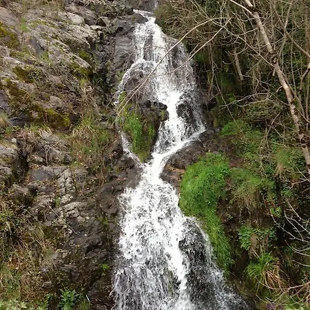 לינה וארוחת בוקר Mon Plaisir - D'hotes 4*